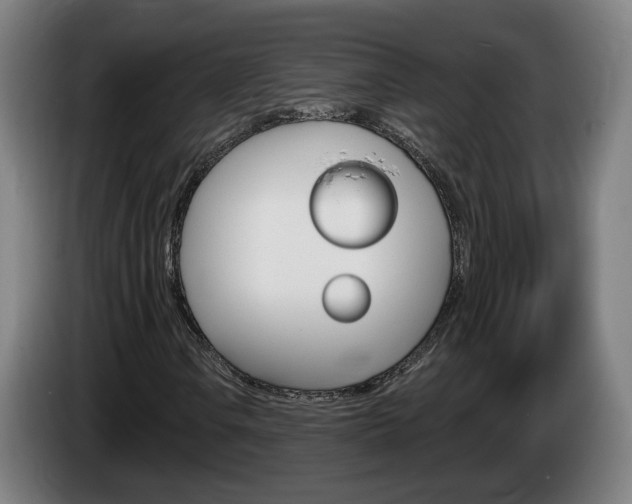X0000085221106200703090822