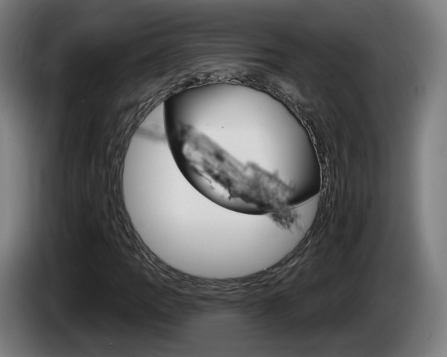 X0000085221109200703090822