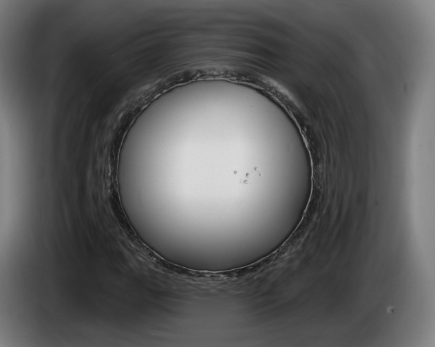 X0000085221111200703090822