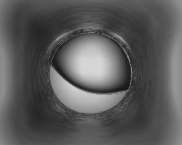 X0000085221112200703090822