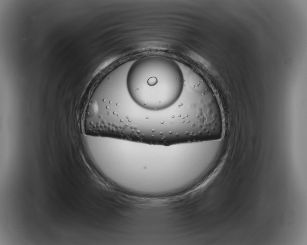 X0000085221113200703090822