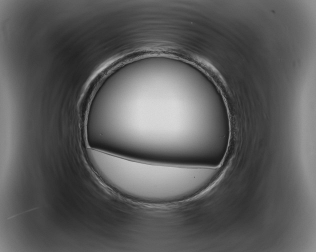 X0000085221114200703090822