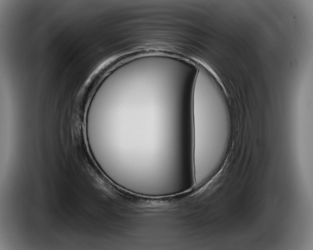 X0000085221115200703090822