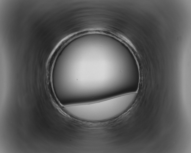X0000085221116200703090822