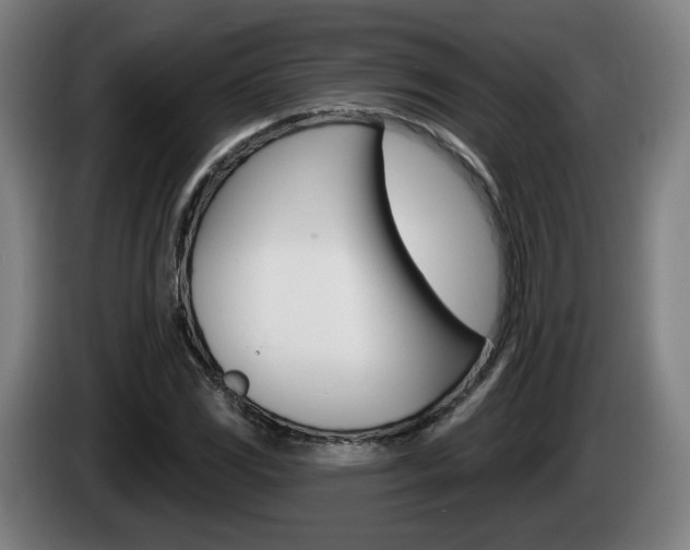 X0000085221117200703090822