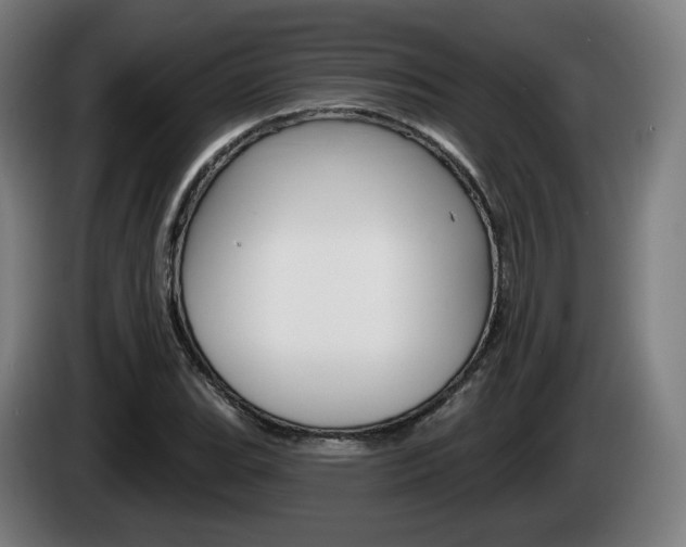 X0000085221119200703090822