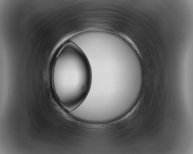 X0000085221122200703090822