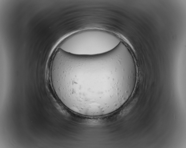 X0000085221125200703090822