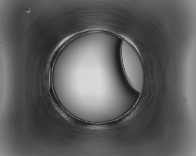 X0000085221127200703090822