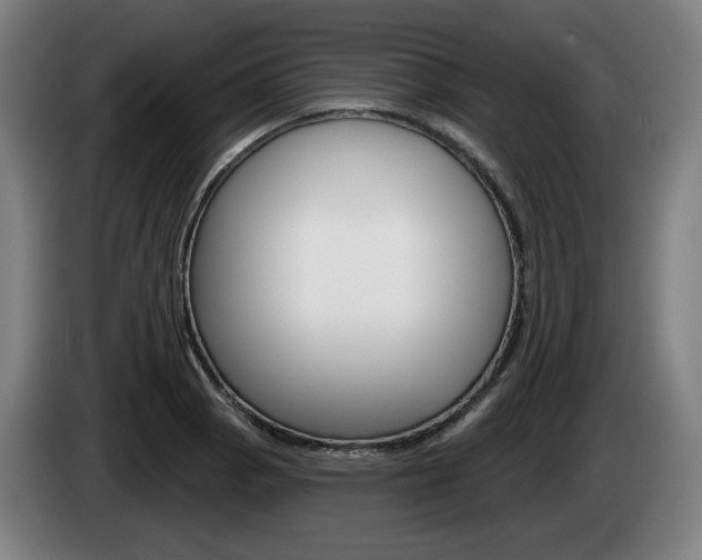 X0000085221129200703090822