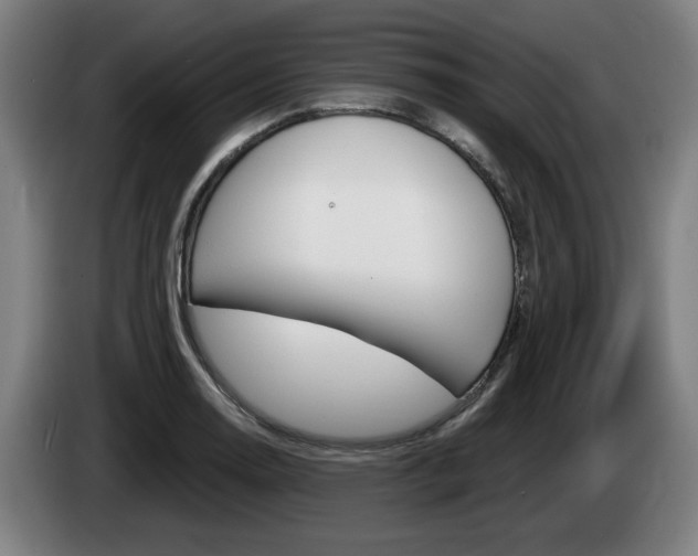 X0000085221130200703090822