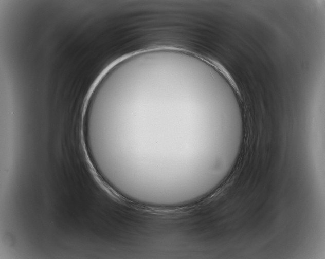 X0000085221132200703090822