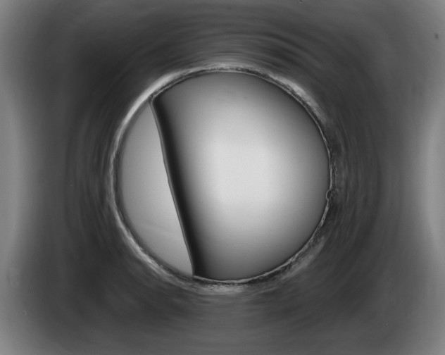 X0000085221134200703090822