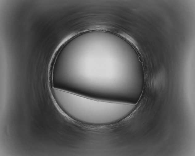 X0000085221135200703090822