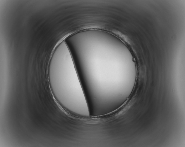 X0000085221137200703090822