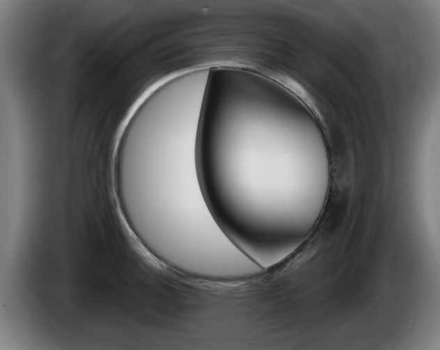 X0000085221140200703090822