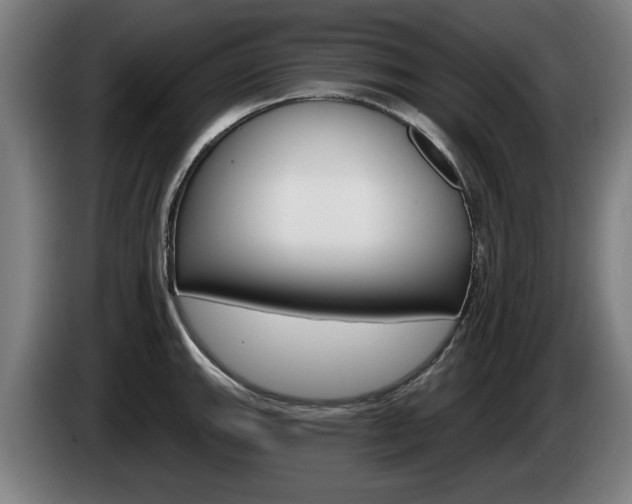 X0000085221143200703090822