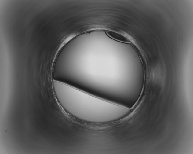 X0000085221145200703090822