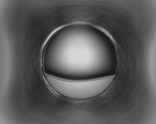 X0000085221148200703090822