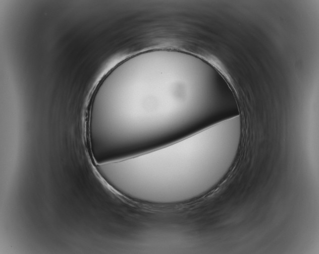 X0000085221151200703090822