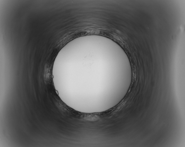 X0000085221154200703090822