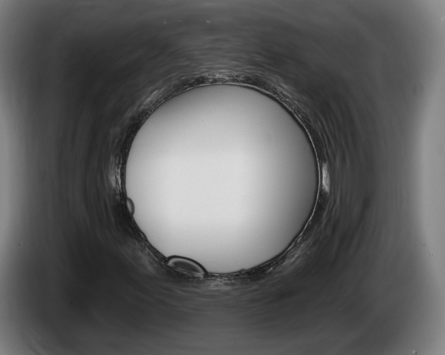 X0000085221155200703090822