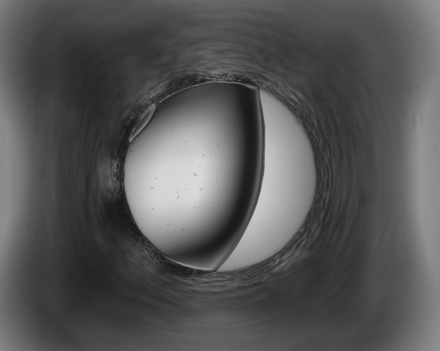 X0000085221156200703090822