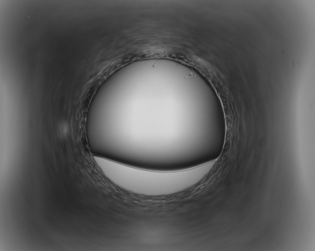 X0000085221157200703090822