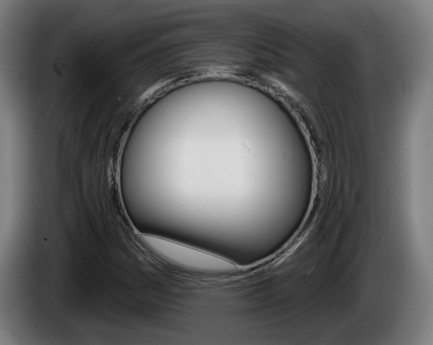 X0000085221161200703090822