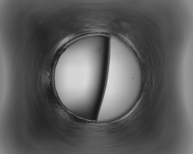 X0000085221163200703090822