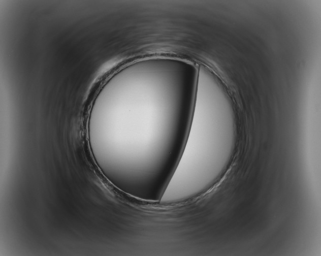 X0000085221164200703090822