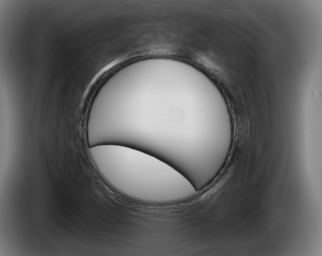 X0000085221166200703090822