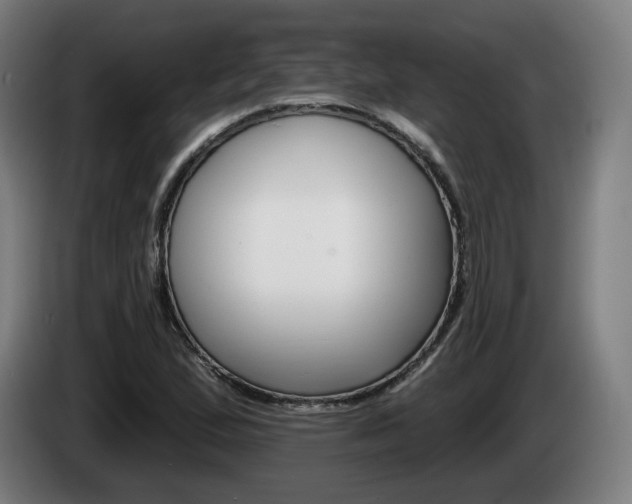 X0000085221167200703090822