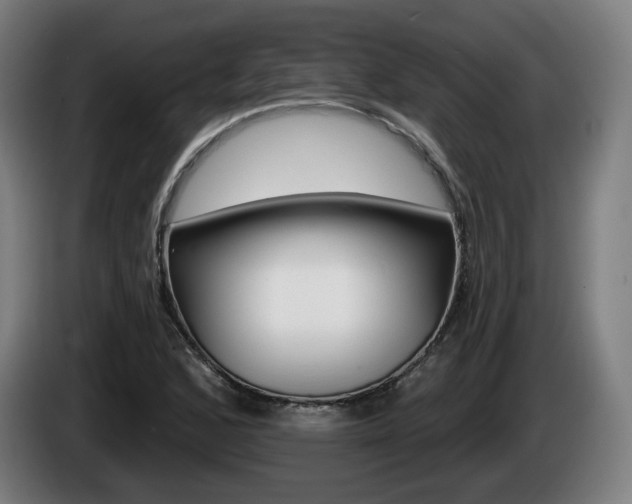 X0000085221168200703090822