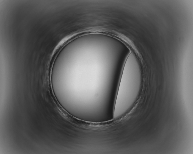 X0000085221176200703090821