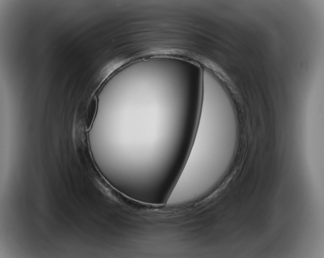X0000085221177200703090821