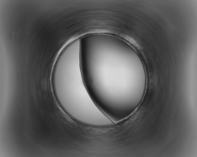 X0000085221181200703090821