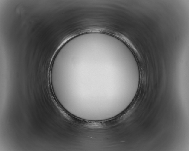 X0000085221186200703090821