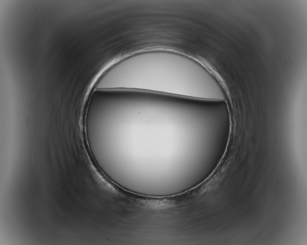 X0000085221189200703090821