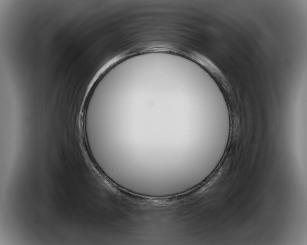 X0000085221190200703090821