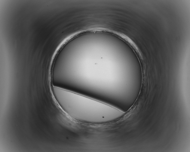 X0000085221191200703090821