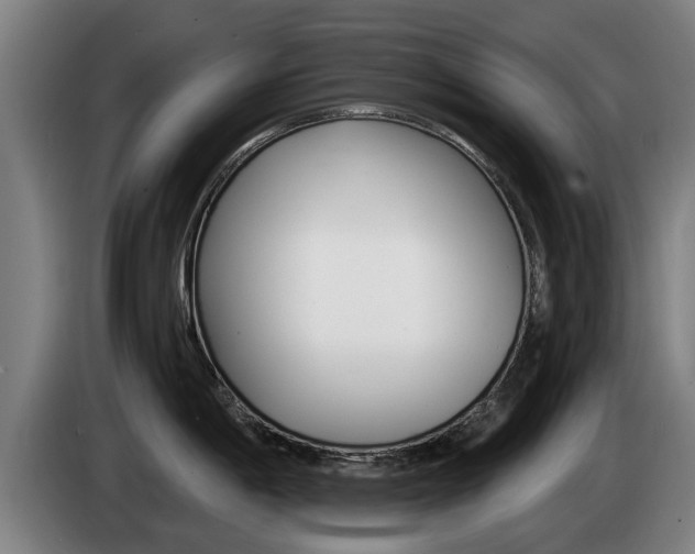 X0000085221198200703090821