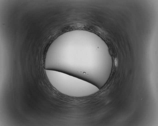 X0000085221203200703090821