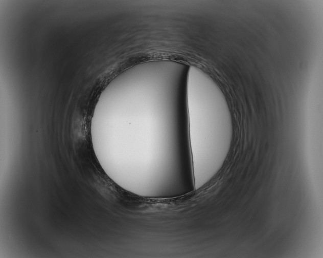 X0000085221204200703090821