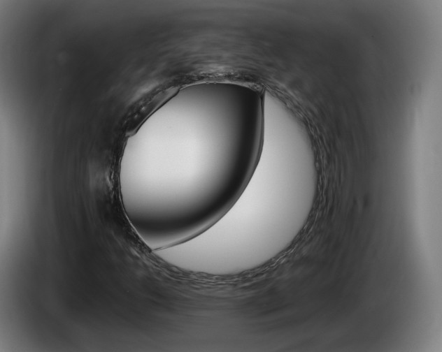 X0000085221206200703090821