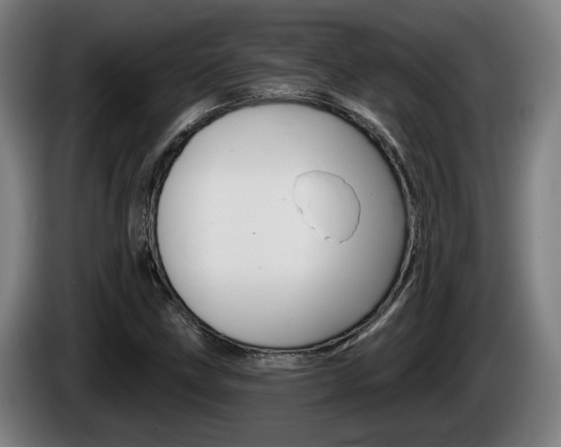 X0000085221211200703090821