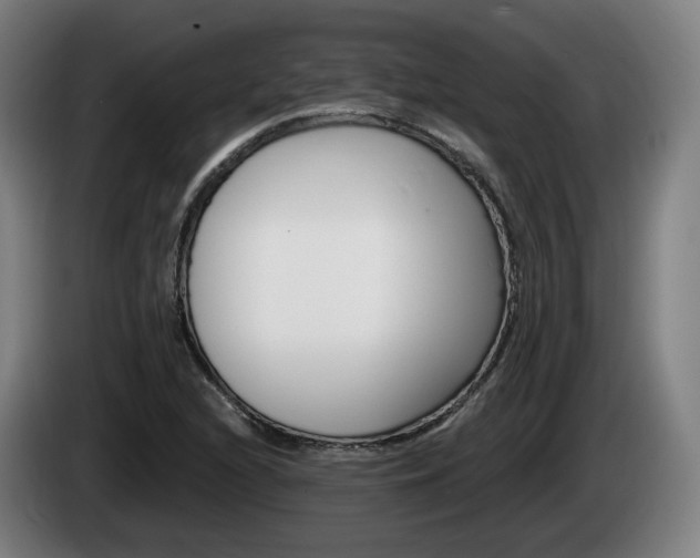 X0000085221216200703090821