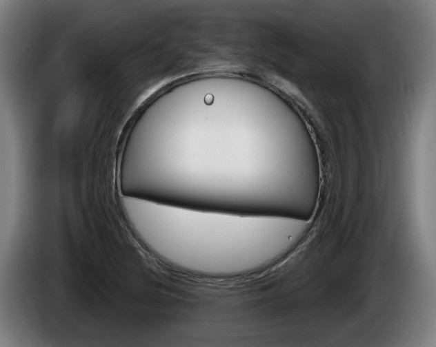 X0000085221220200703090821