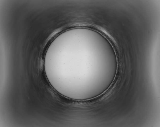 X0000085221221200703090821