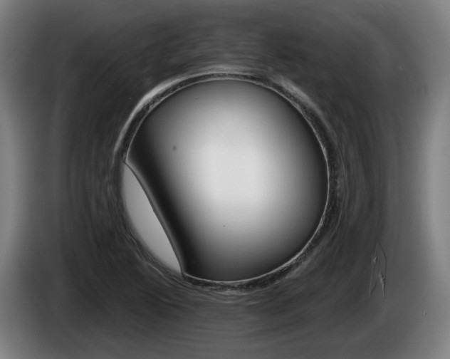 X0000085221222200703090821